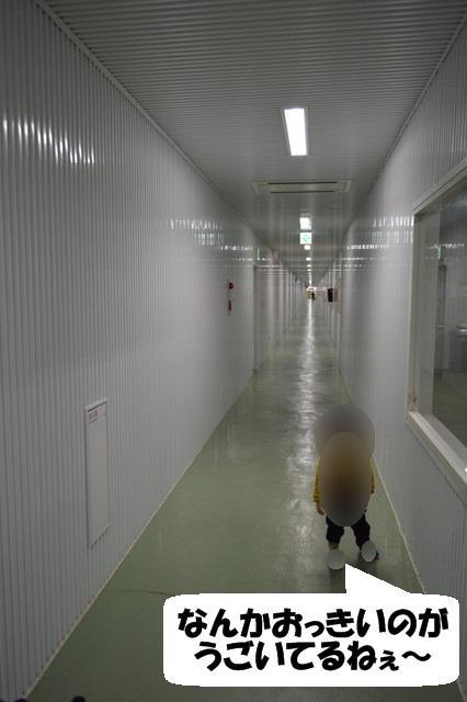 酒田米菓-工場見学05