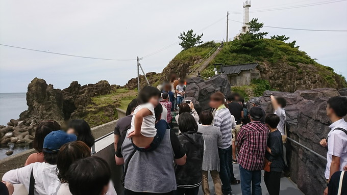 加茂水族館_ウミネコ餌付け