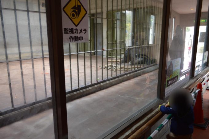 八木山動物園-1 (6)