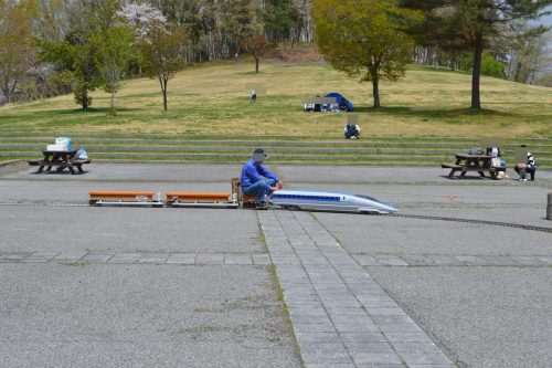 野草園_ミニ新幹線1