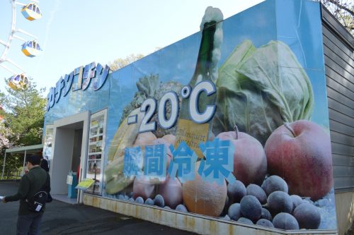 リナワールド_カチンコチン