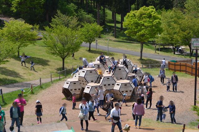 西蔵王公園-ぼうけんひろば-みつばちのぼうけん2