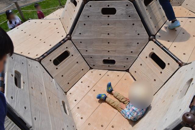 西蔵王公園-ぼうけんひろば-みつばちのぼうけん3