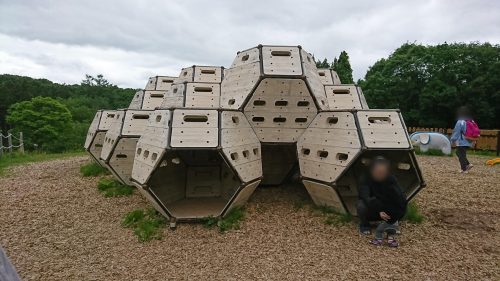 西蔵王公園_ミツバチのぼうけん1