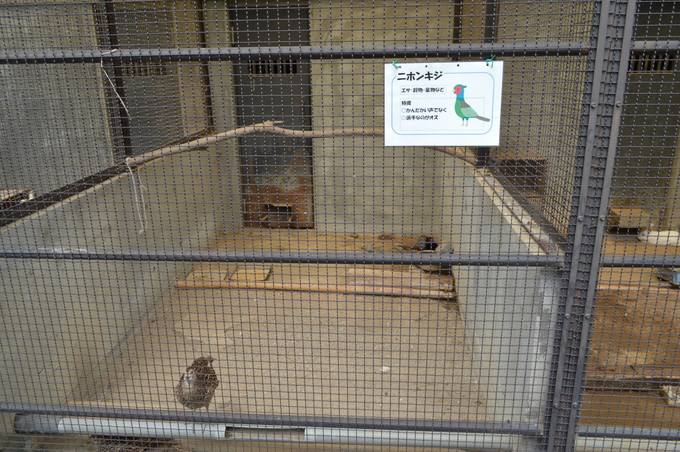 河北児童動物園_5