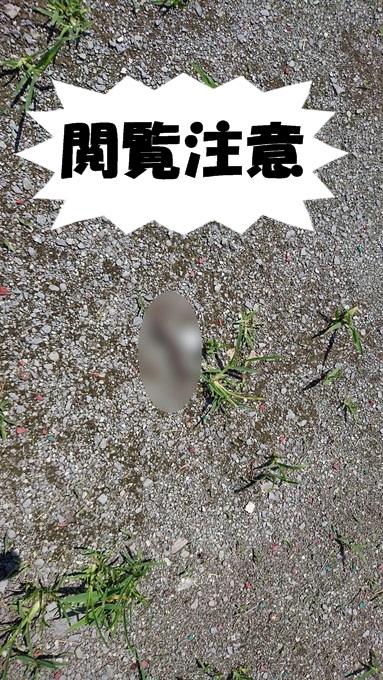 総合運動公園_遊びの森12