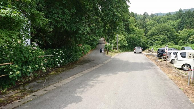 あじさい祭り_13