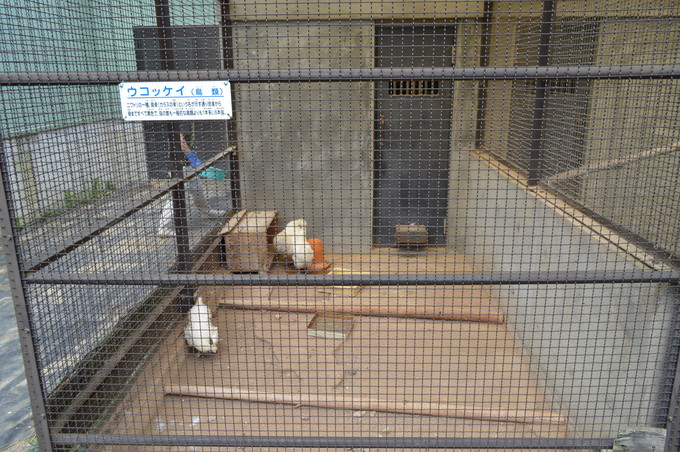 河北児童動物園_4