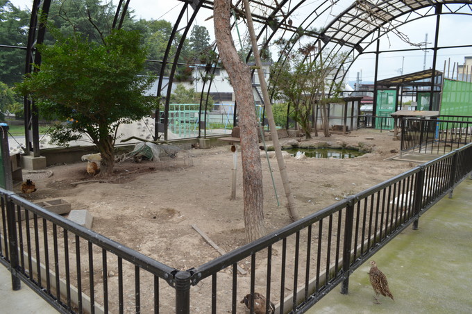 河北児童動物園_13