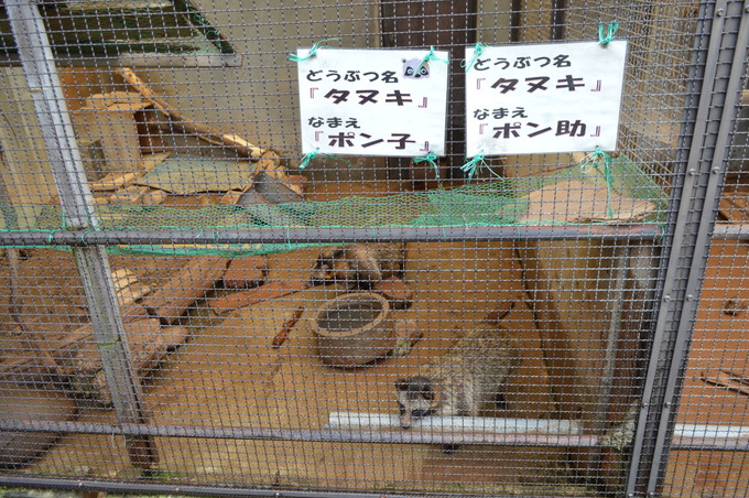 河北児童動物園_7