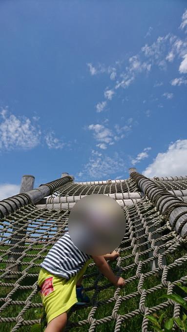 総合運動公園_遊びの森14