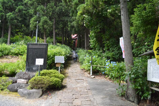 あじさい祭り_17