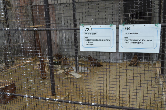 河北児童動物園_9