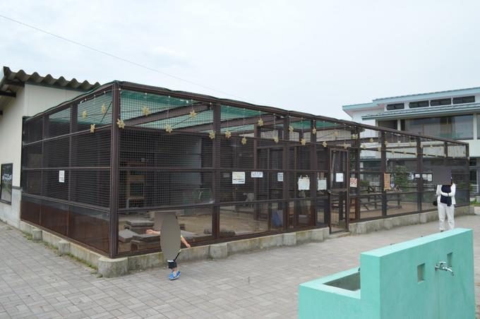 河北児童動物園_入口2