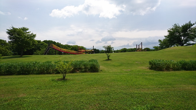 総合運動公園_遊びの森1