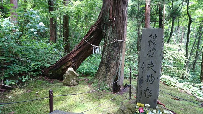 あじさい祭り_6