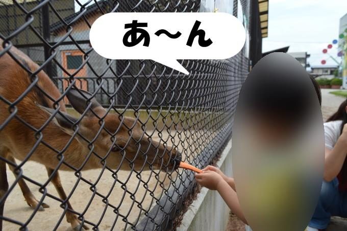 河北児童動物園_エサやり
