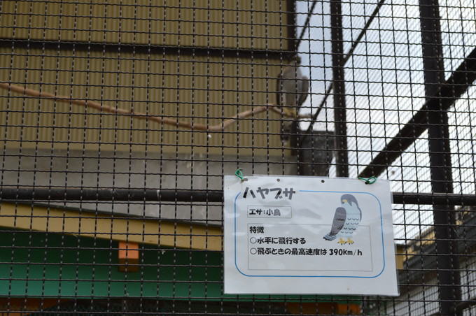 河北児童動物園_10