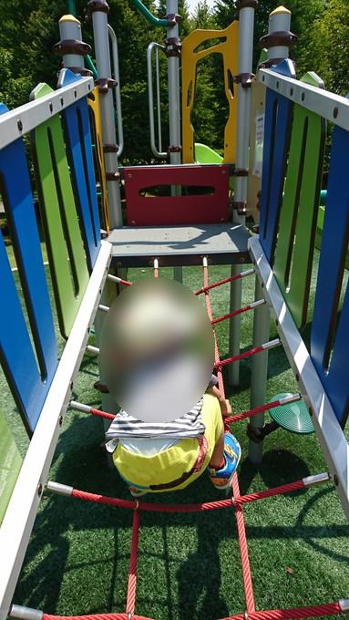 総合運動公園_遊びの森7