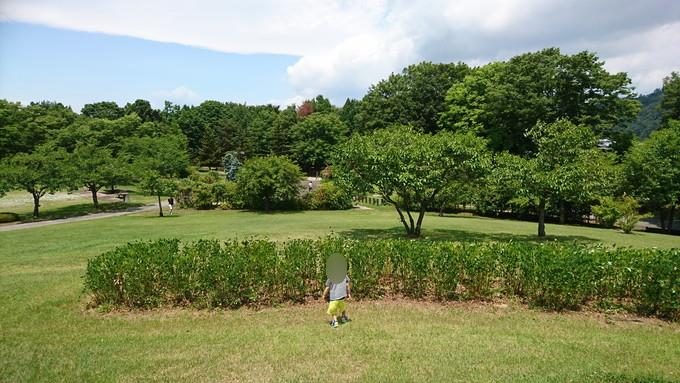 総合運動公園_遊びの森15