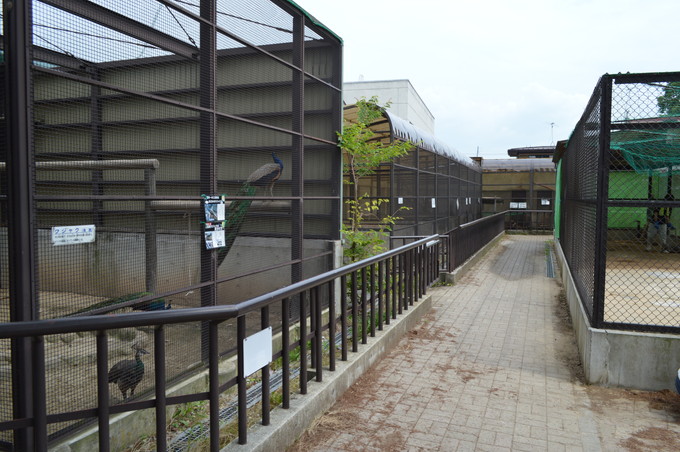 河北児童動物園_奥