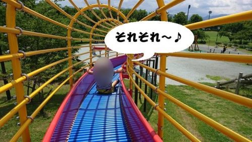 総合運動公園_遊びの森4