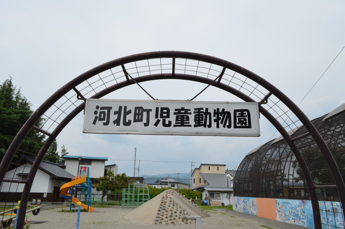 【河北町】70年以上親しまれる“小さな動物園”がNHKで特集|心のよりどころを映す72時間