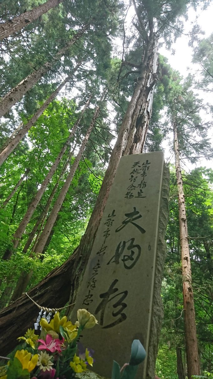 あじさい祭り_19