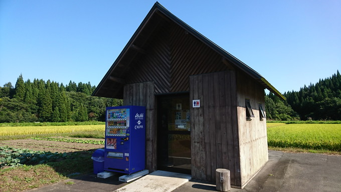 トトロの木_トイレ