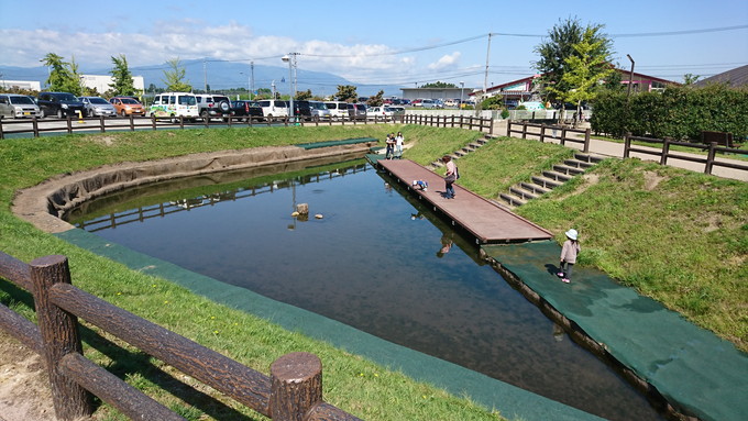 あそびあ_ザリガニ池