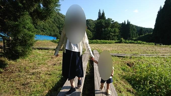 トトロの木_散歩