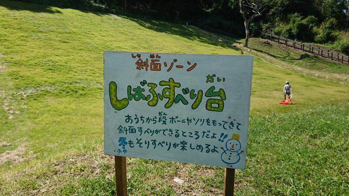 あそびあ_斜面すべり台