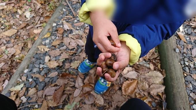 蔵王の鴫の谷地沼の紅葉_どんぐり1