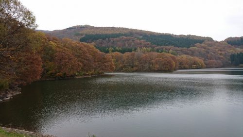 蔵王の鴫の谷地沼の紅葉_散策15