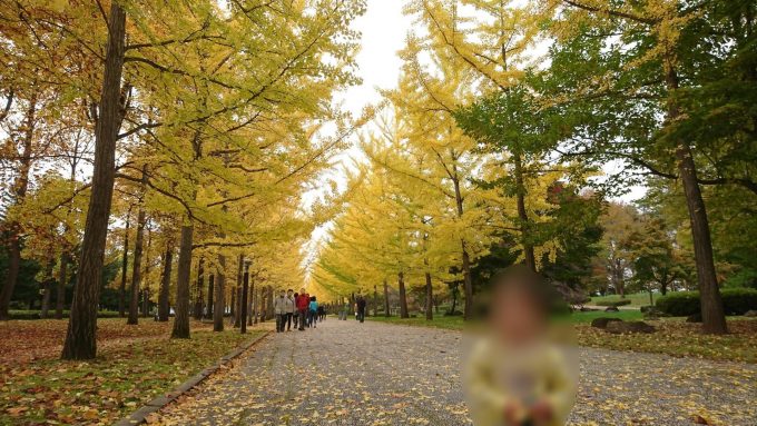 県総合運動公園のいちょう並木の全景とこども2