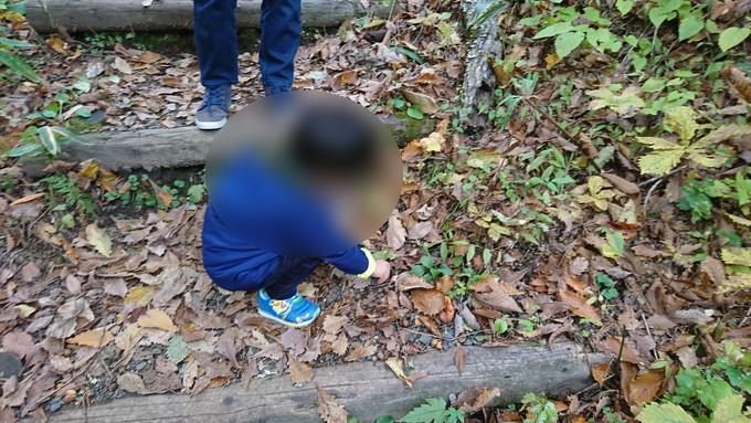 蔵王の鴫の谷地沼の紅葉_どんぐり拾い4