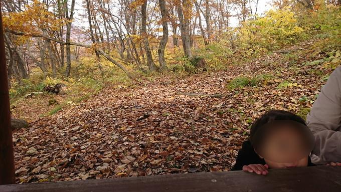 蔵王の鴫の谷地沼の紅葉_昼食4