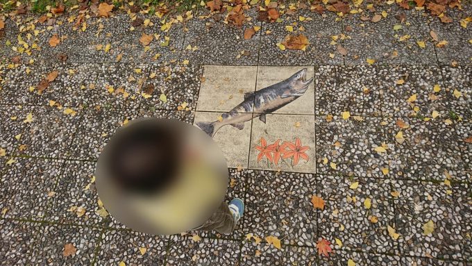 県総合運動公園のいちょう並木の鮭の絵