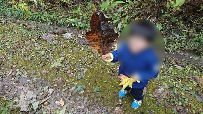 蔵王の鴫の谷地沼の紅葉_散策10