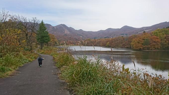 蔵王の鴫の谷地沼の紅葉_散策12