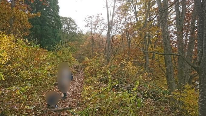 蔵王の鴫の谷地沼の紅葉_どんぐり3