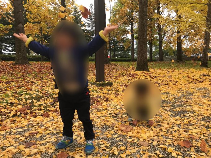 県総合運動公園のいちょう並木の全景と葉っぱのシャワー1