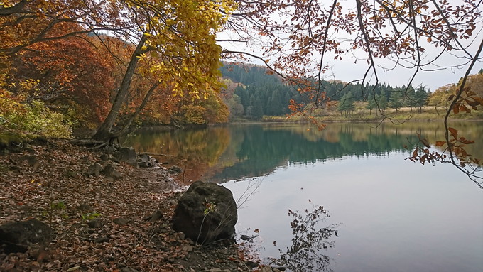 蔵王の鴫の谷地沼の紅葉_散策6