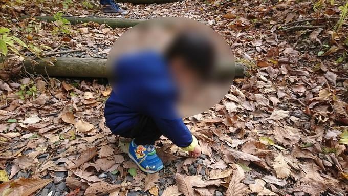 蔵王の鴫の谷地沼の紅葉_どんぐり2