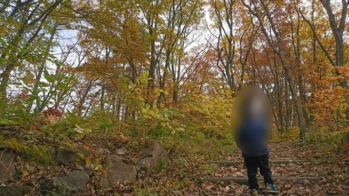 蔵王の鴫の谷地沼の紅葉_散策2