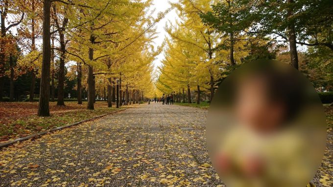 県総合運動公園のいちょう並木の全景とこども1