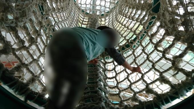 けやきホール_天井ネット2