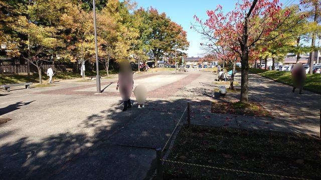 上杉神社（松が岬公園）_駐車場からの道