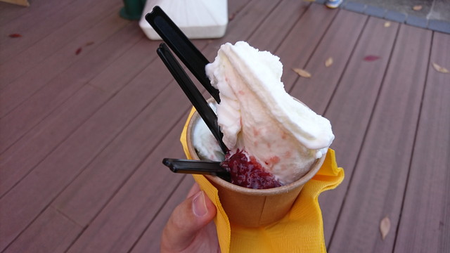 上杉神社（上杉城史苑）の様子13