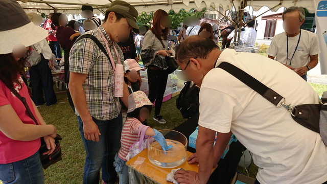 やまがた馬まつりの加茂水族館のクラゲ展示2